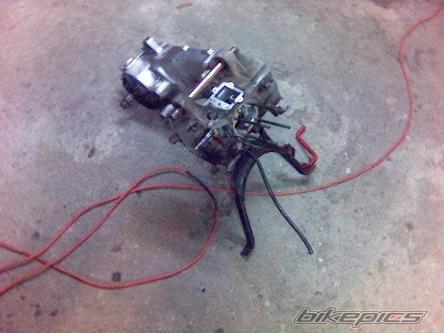 Bike Photo 498976