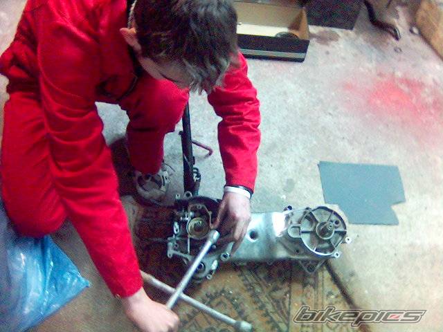 Photo 498978
