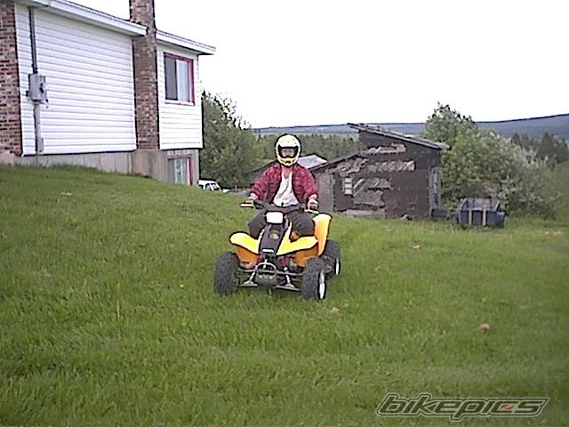Photo 49902