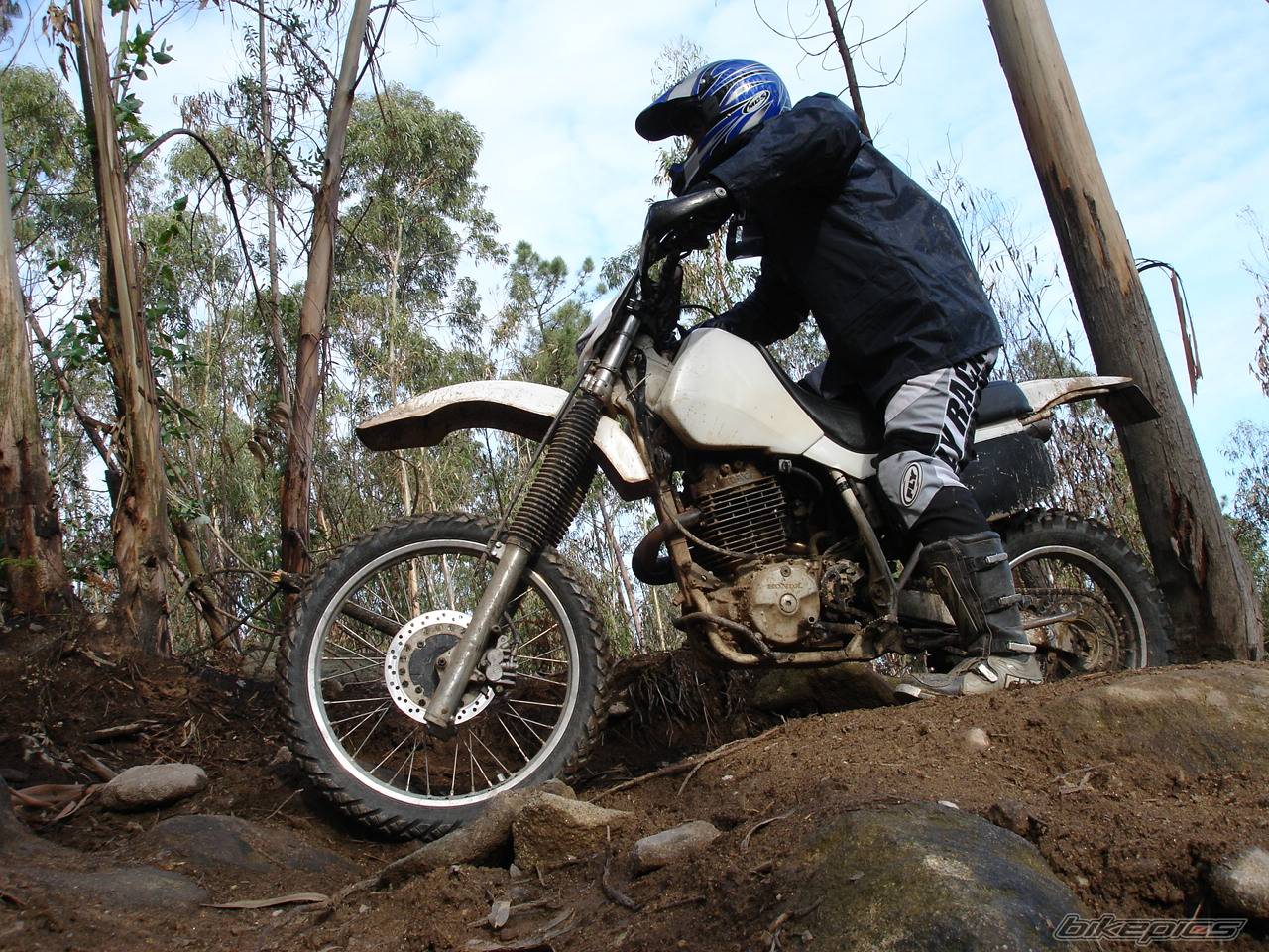 Bike Photo 499024