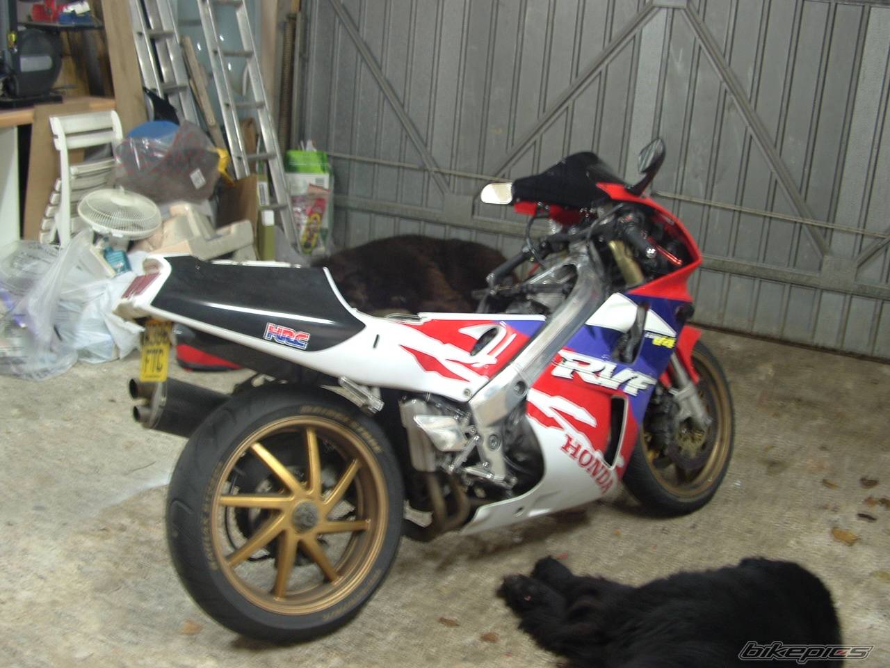 Photo 499032