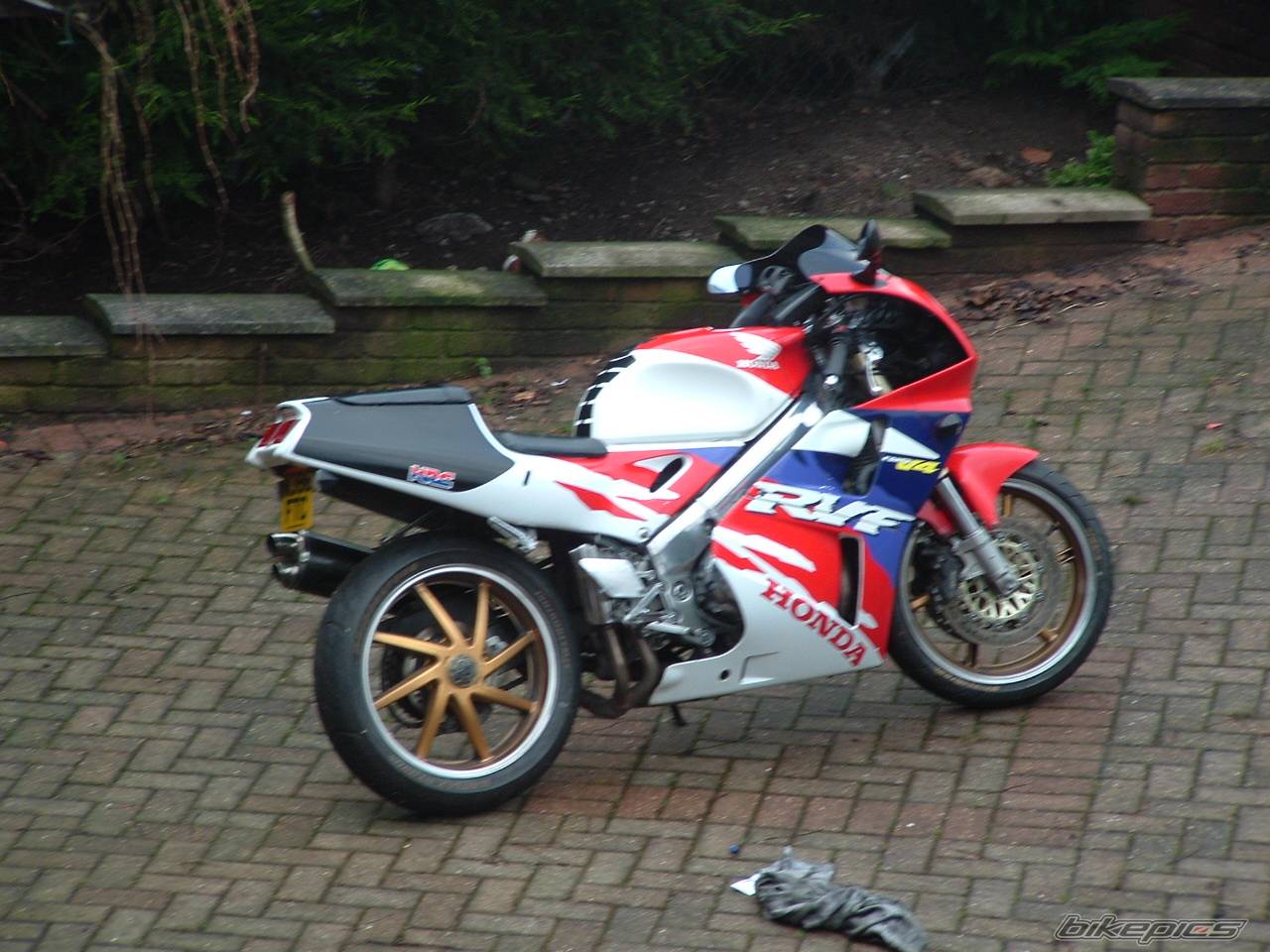 Photo 499037