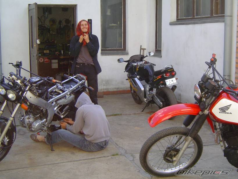Photo 499144