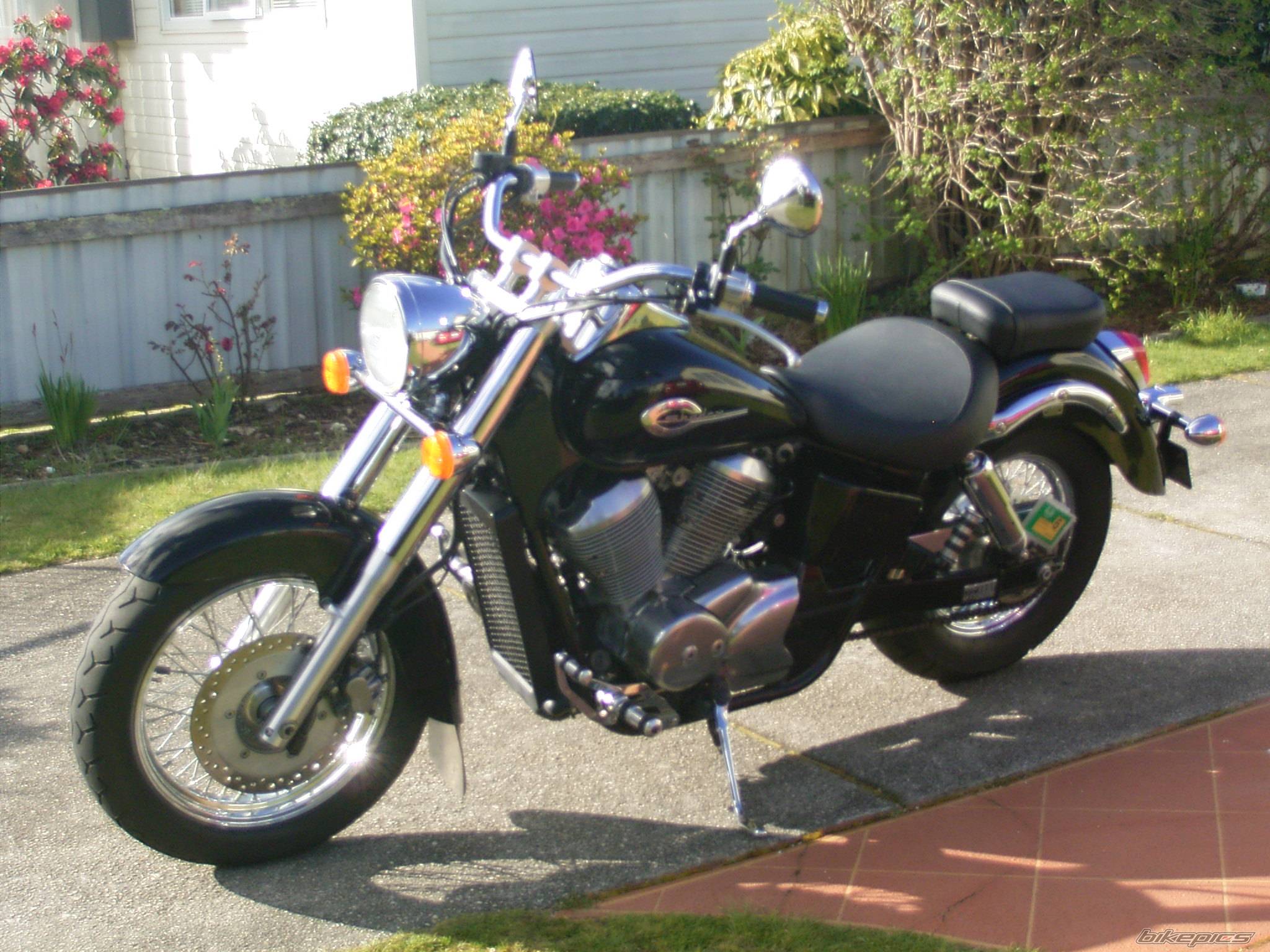 Photo 499196