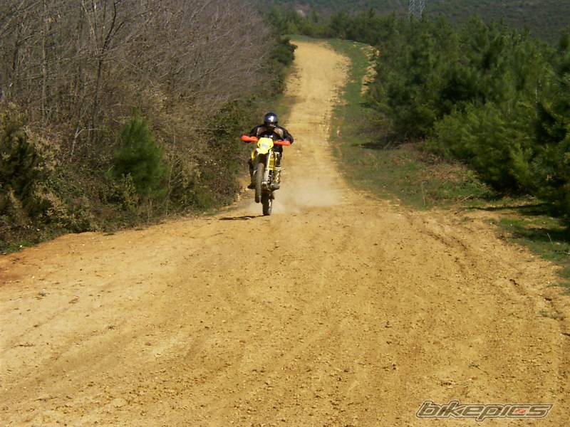 Photo 499240