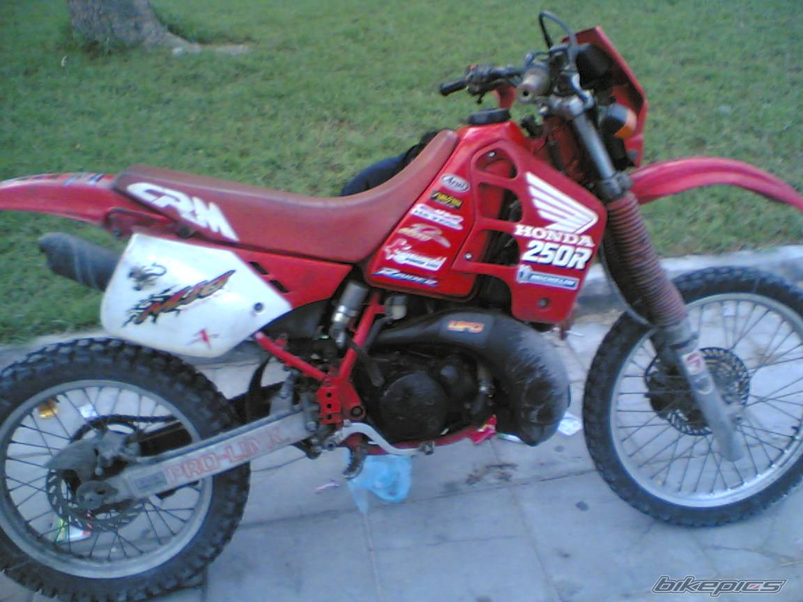 Photo 499260