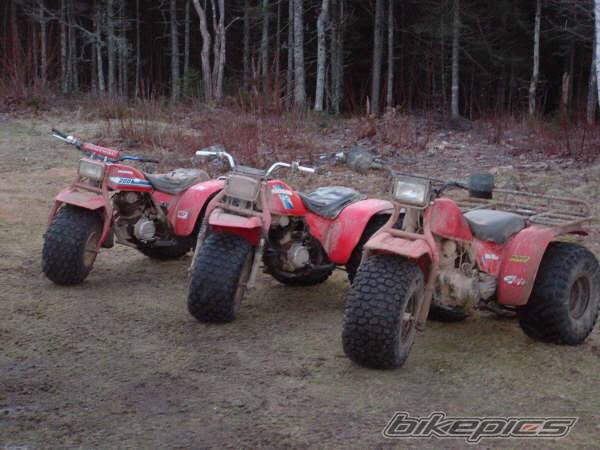 Photo 499277