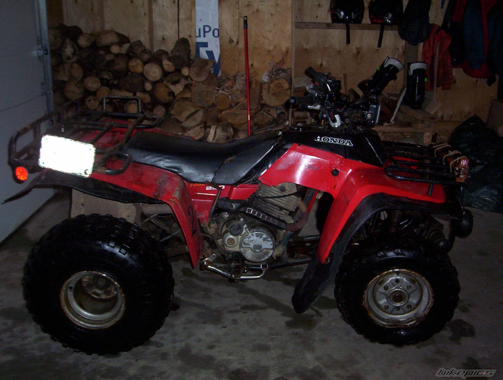 Photo 499278