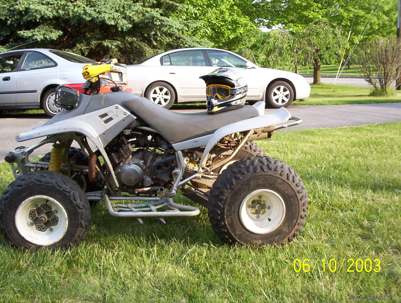 Photo 49928