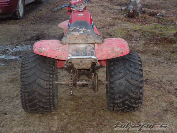Photo 499283