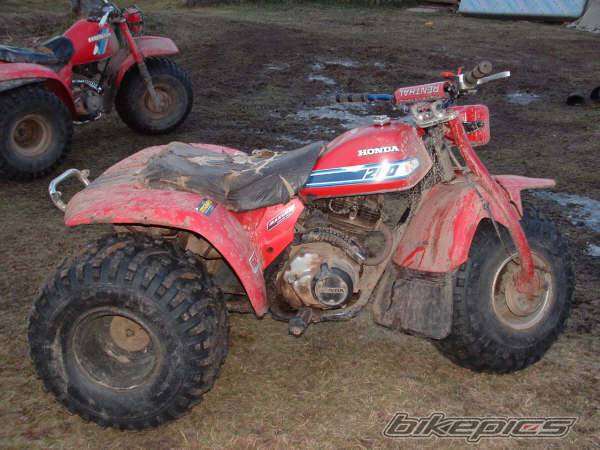 Photo 499284