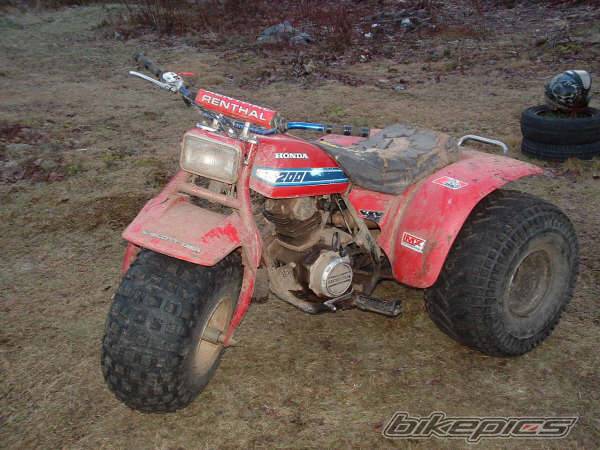 Photo 499286