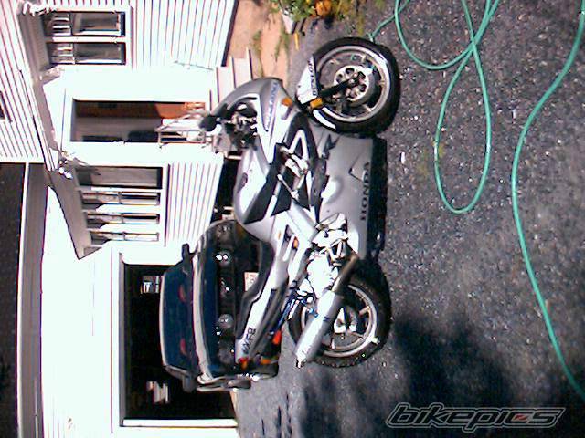 Photo 499307