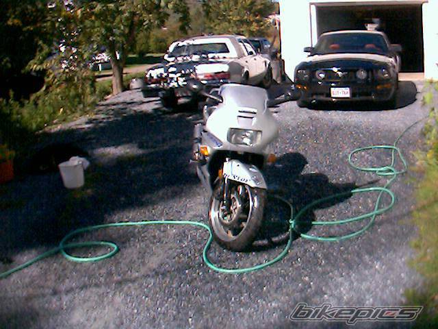 Photo 499309