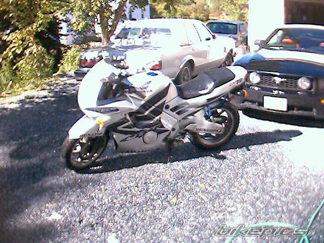 Photo 499310