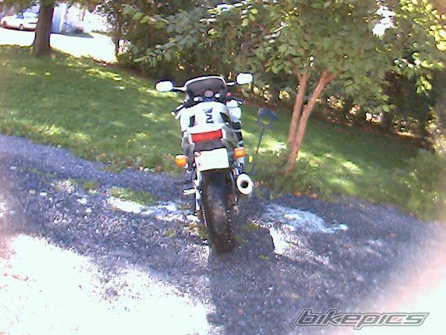 Photo 499312