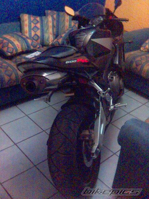 Photo 499373