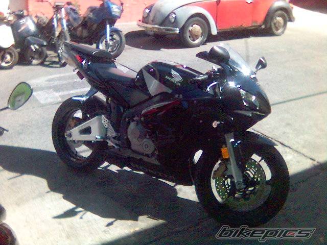 Photo 499375