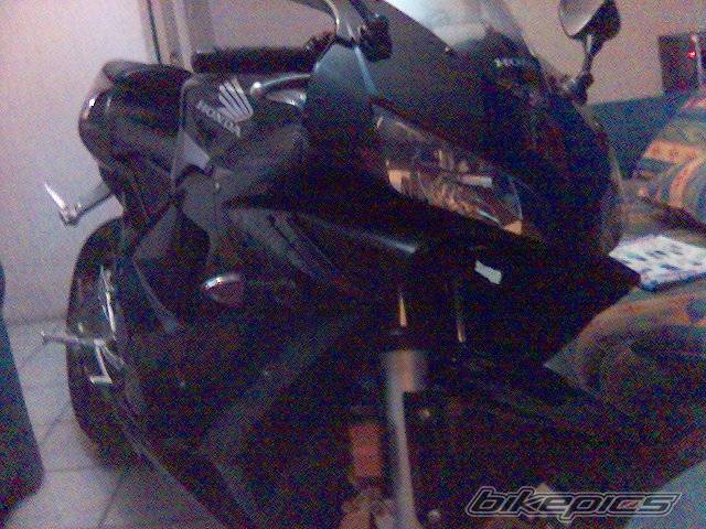 Photo 499376
