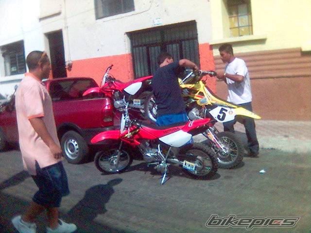 Photo 499379
