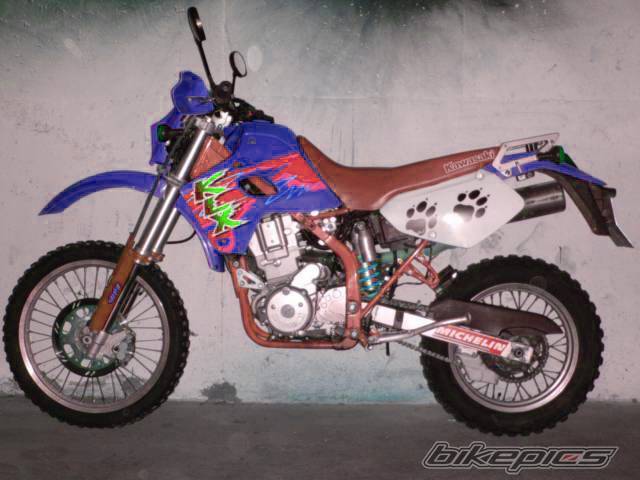 Photo 499435