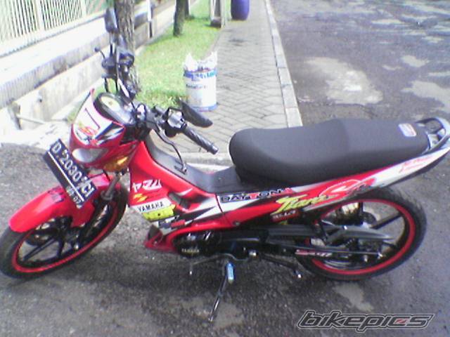 Photo 499447