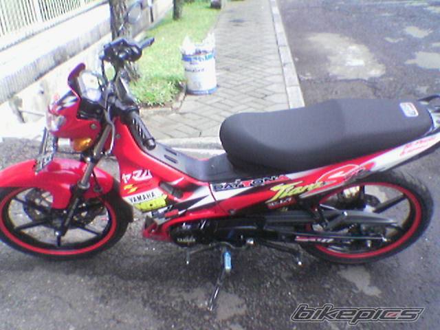 Photo 499448