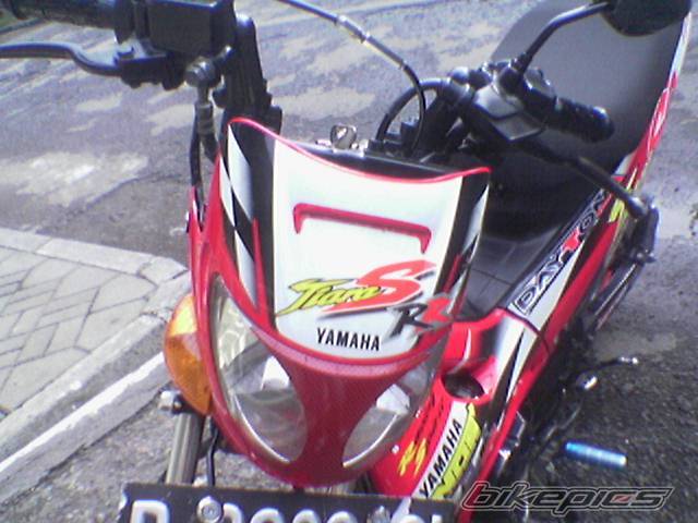 Photo 499449