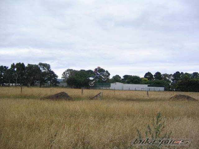 Photo 499461