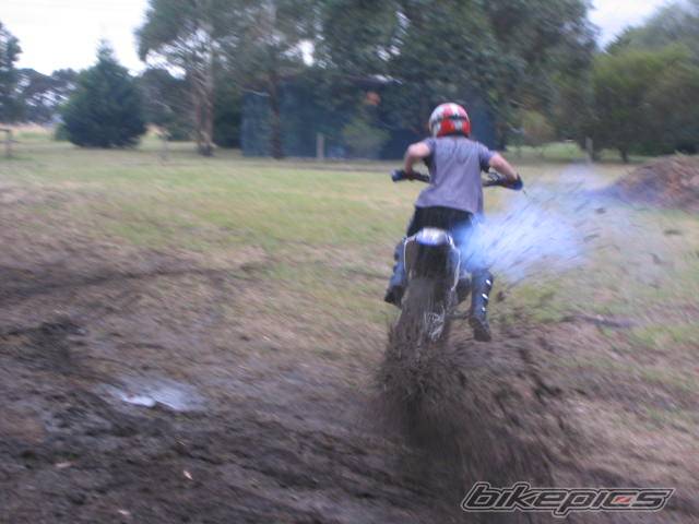 Photo 499462