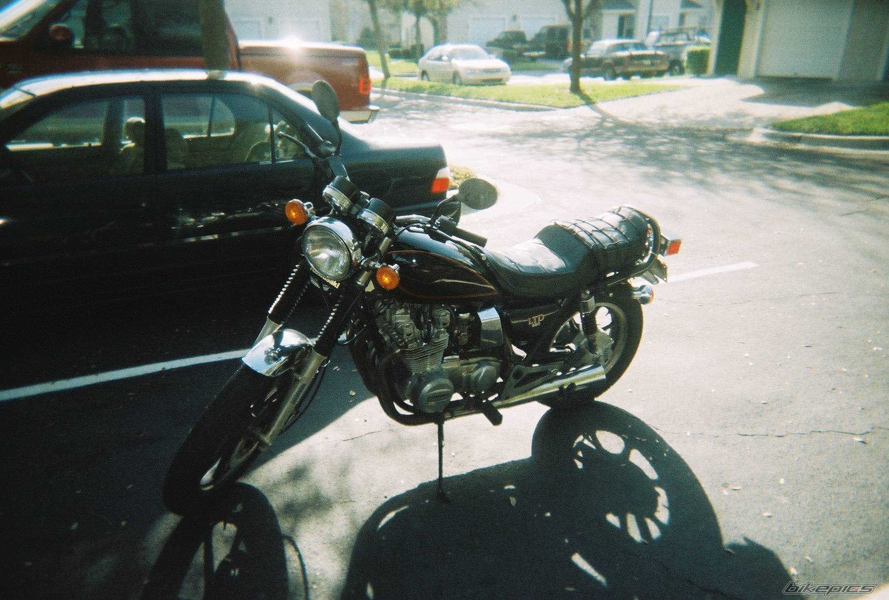 Photo 499532