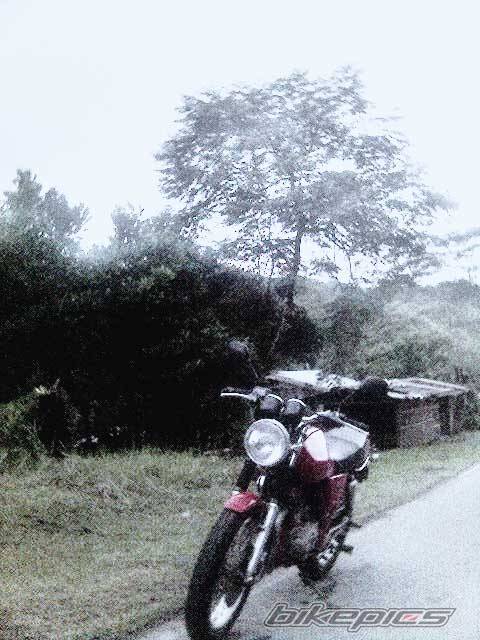 Photo 499560
