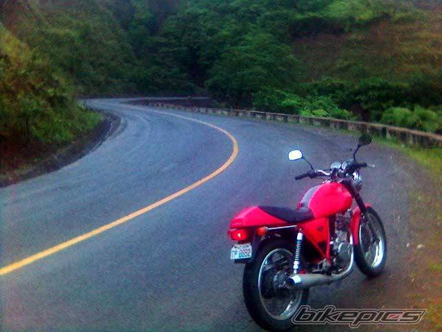 Photo 499562