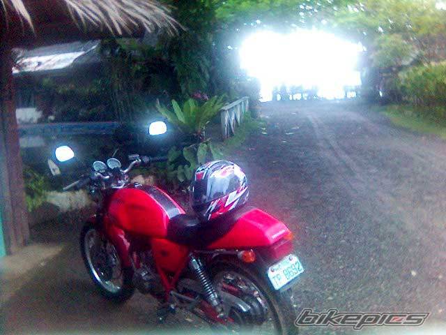 Photo 499563