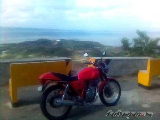 Photo 499564