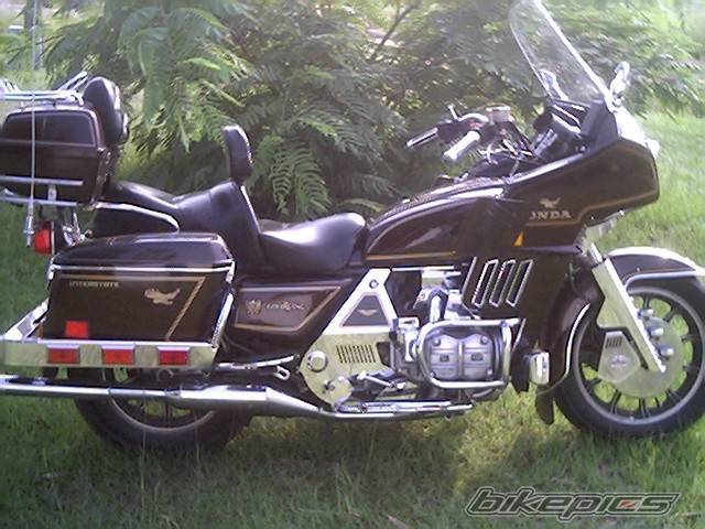 Photo 499566