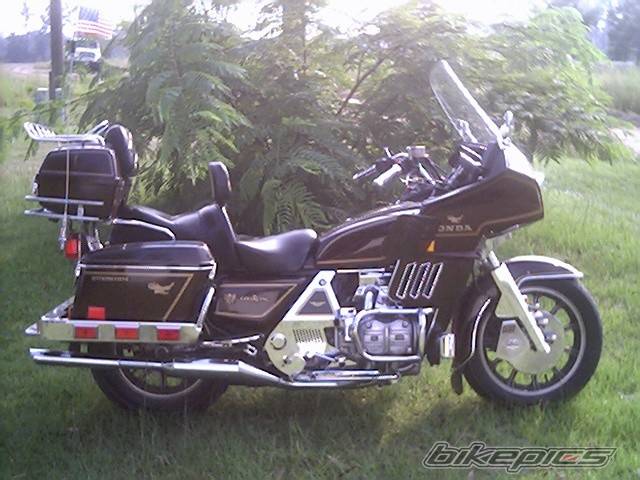 Photo 499568