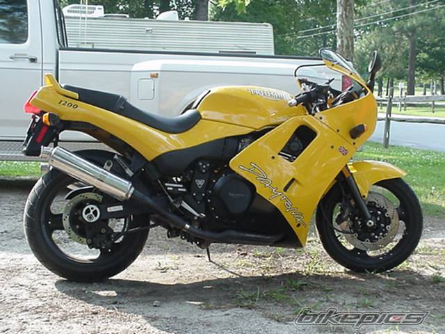 Photo 49957