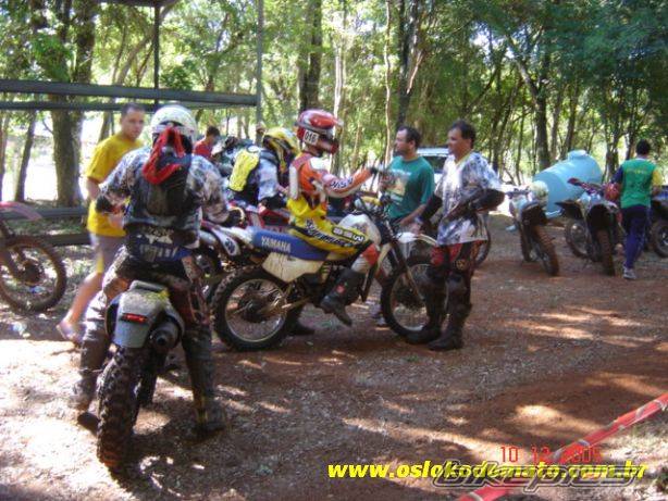 Bike Photo 499605