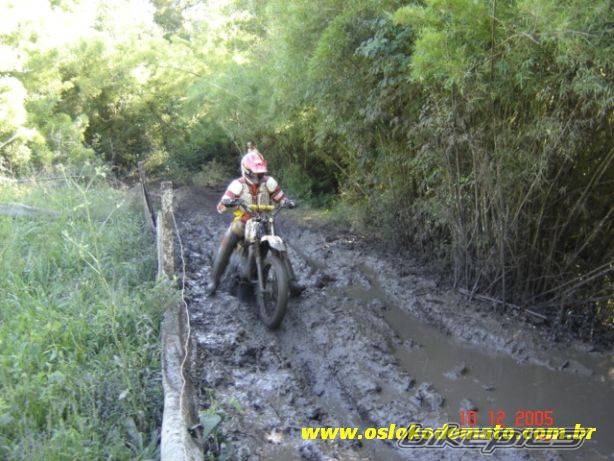 Photo 499606