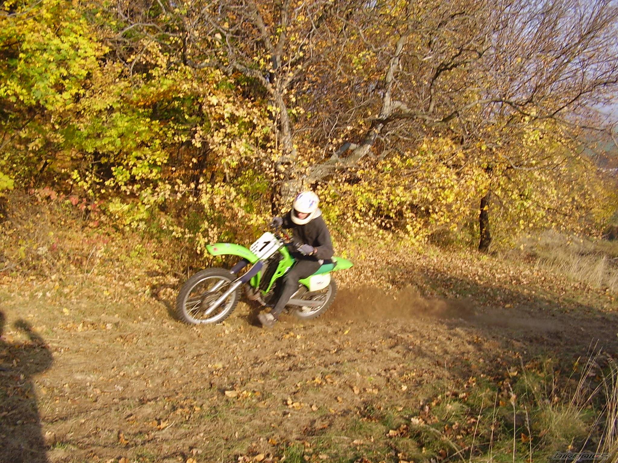 Photo 499663