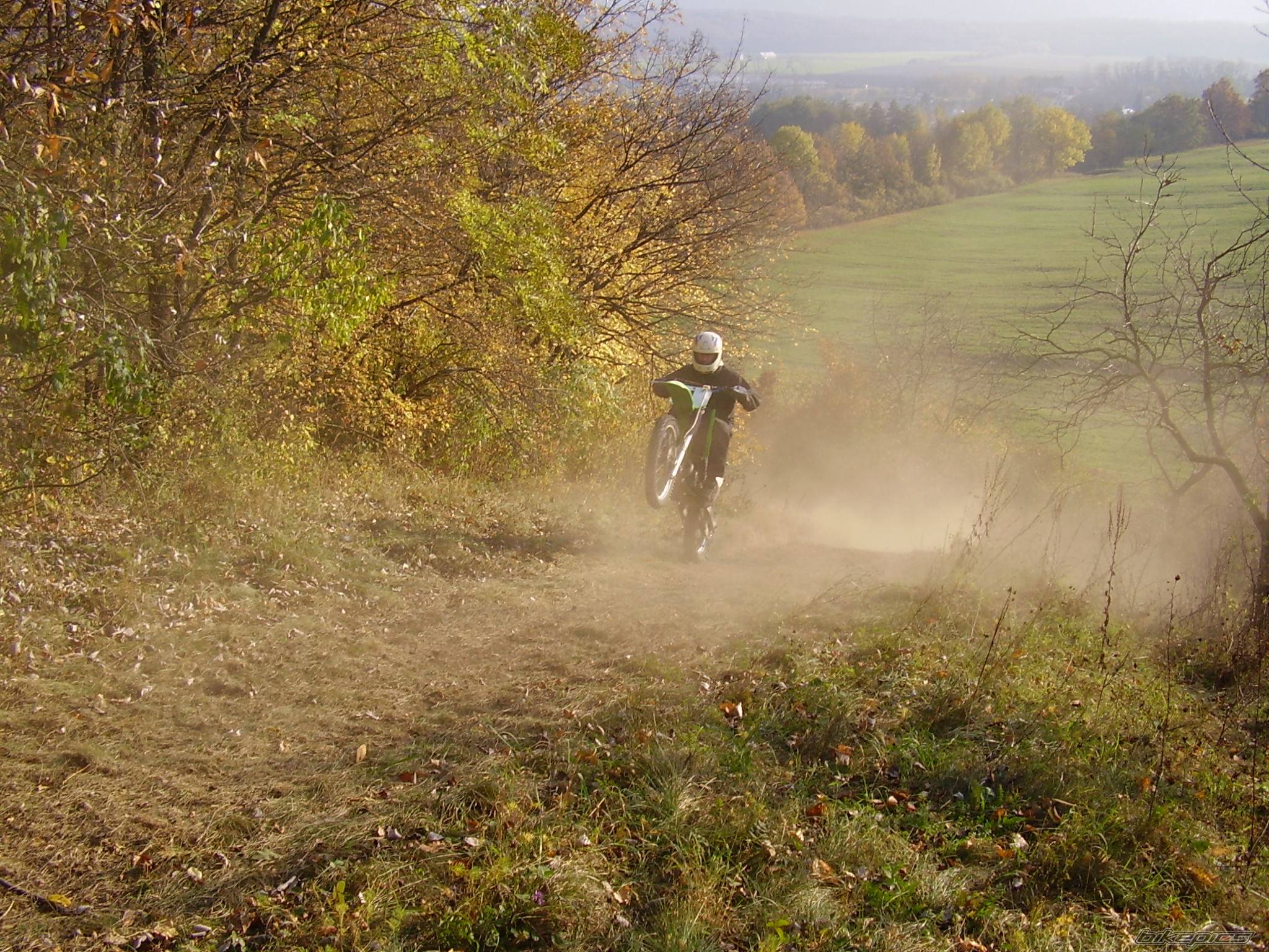 Photo 499670