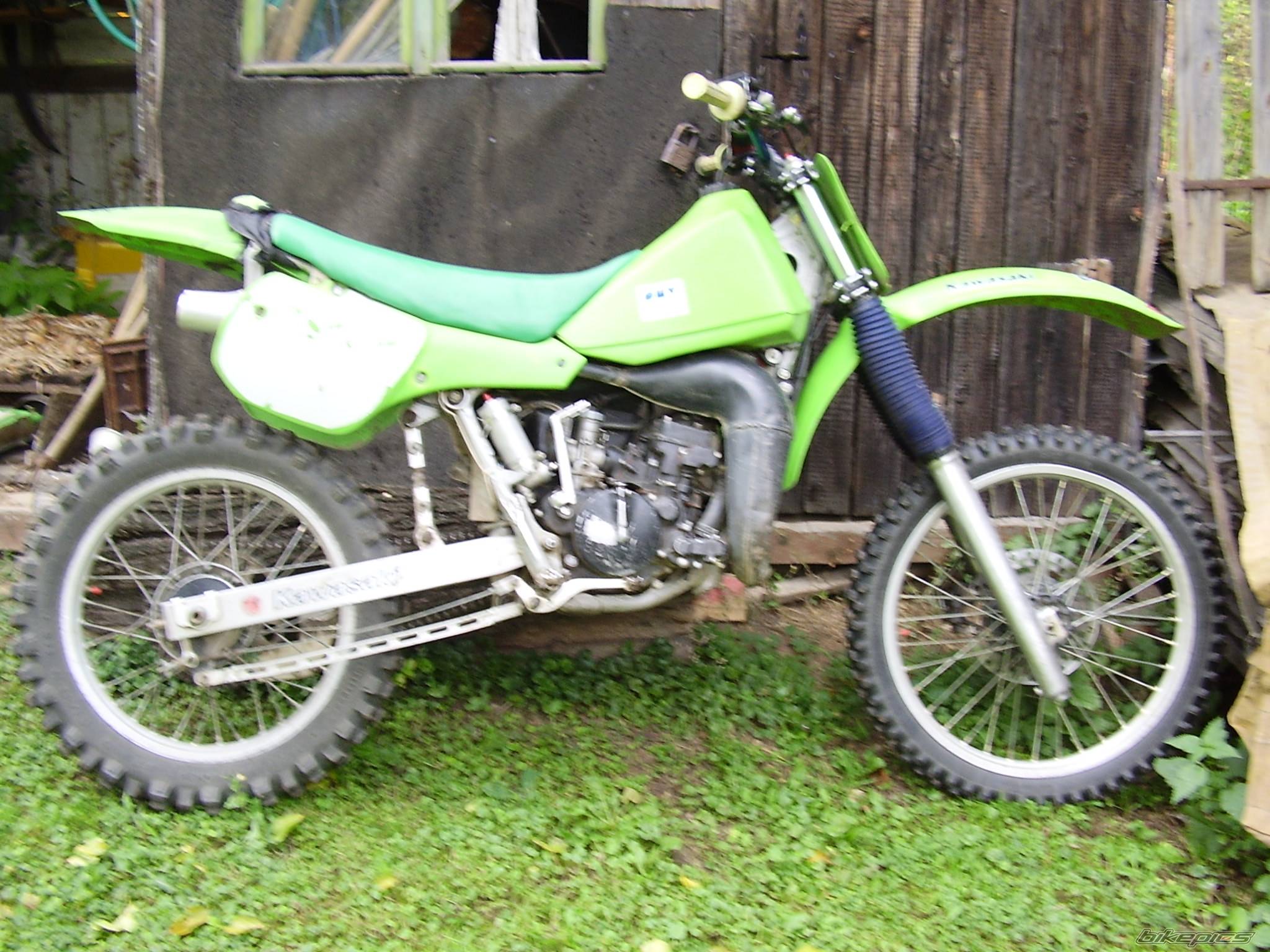 Photo 499686