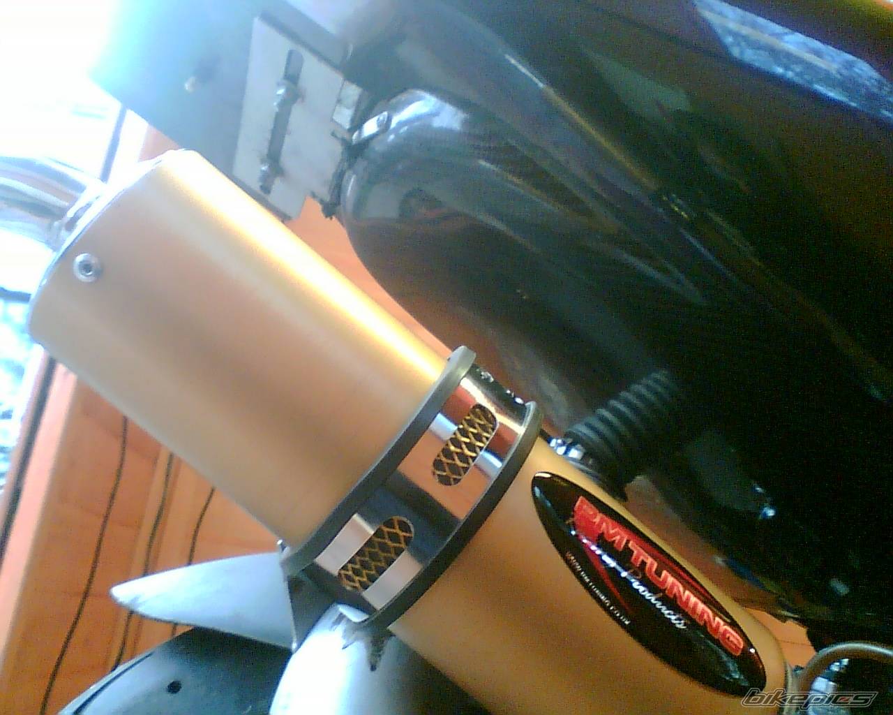 Photo 499699