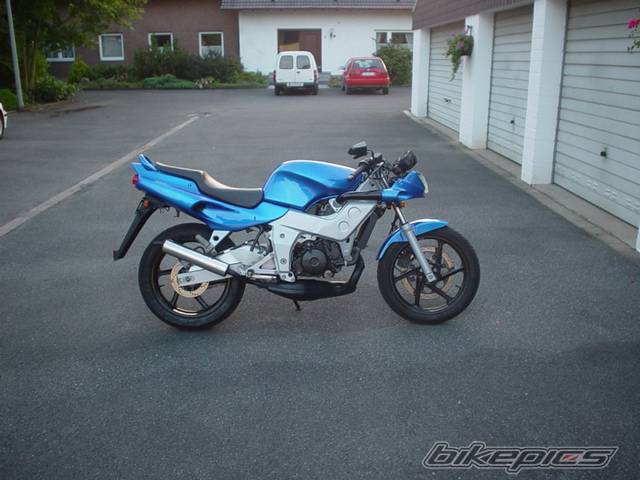 Photo 499767