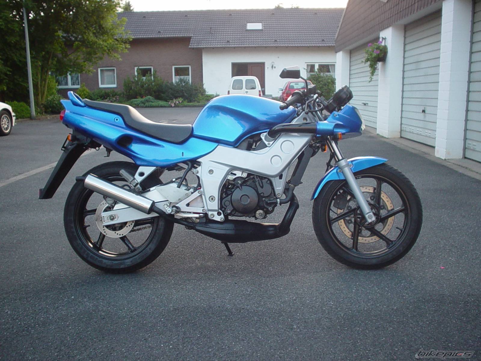 Photo 499768
