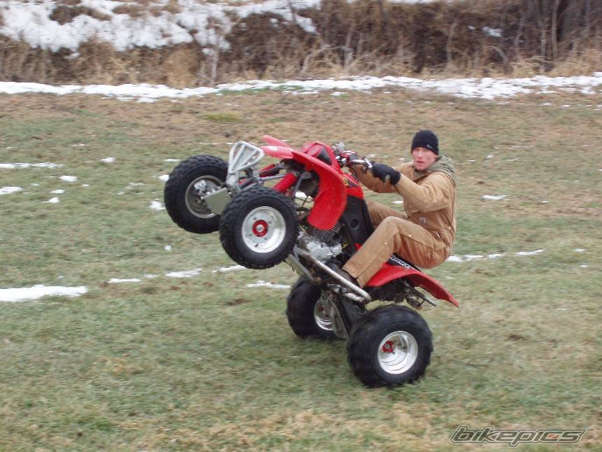 Photo 499771