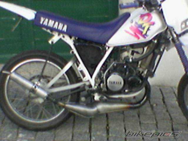 Photo 499815