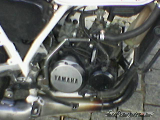 Photo 499817