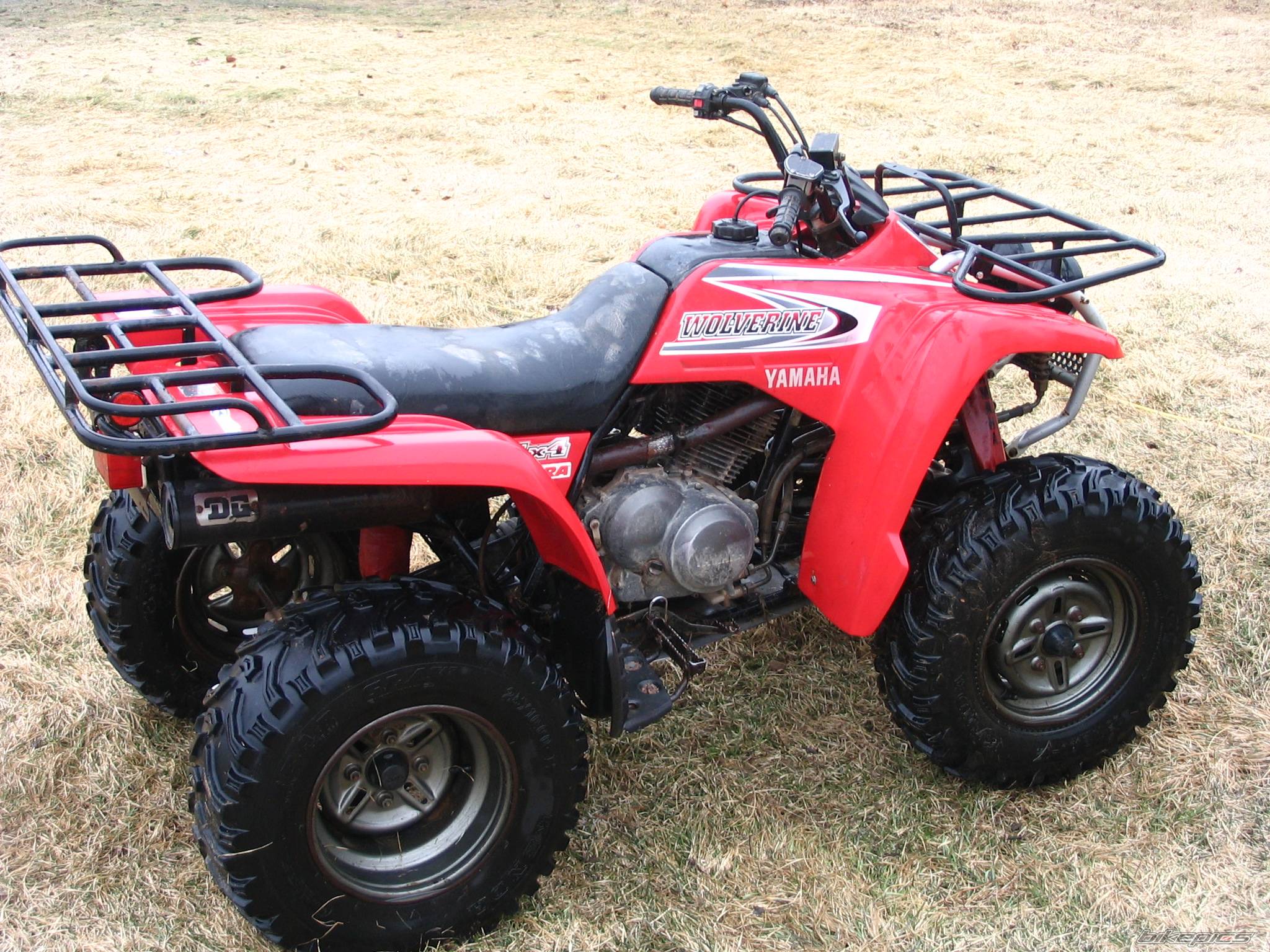 Photo 499868